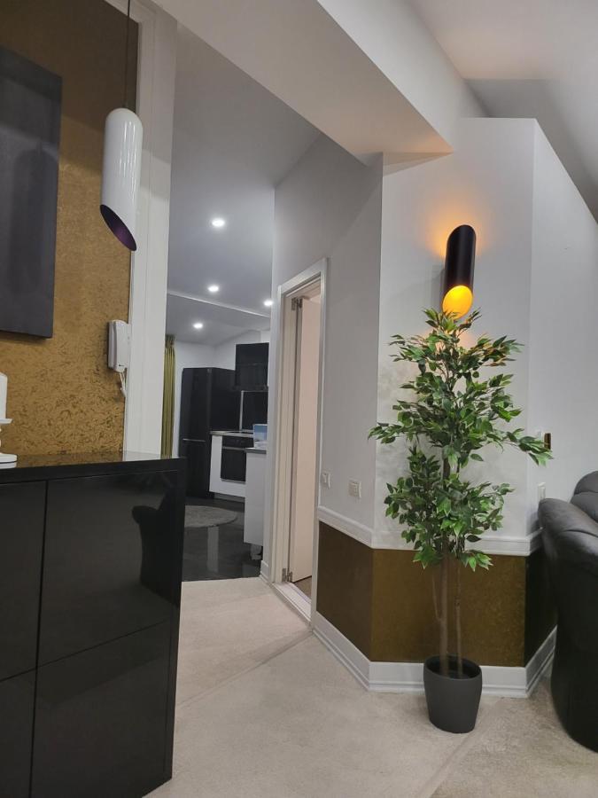 Large Luxury Apartment - Penthouse - Terrace Бухарест Экстерьер фото