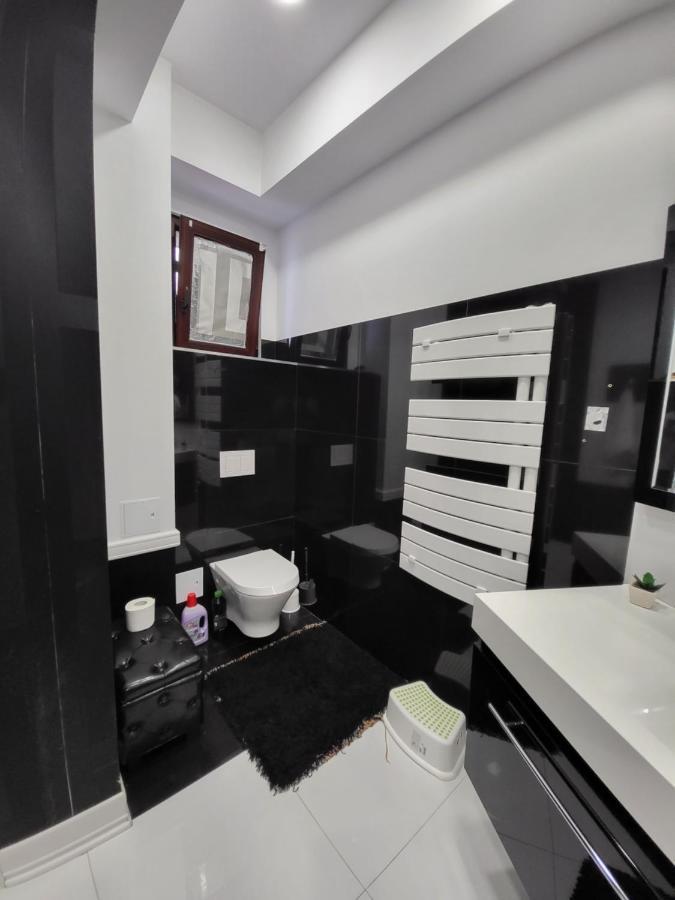 Large Luxury Apartment - Penthouse - Terrace Бухарест Экстерьер фото