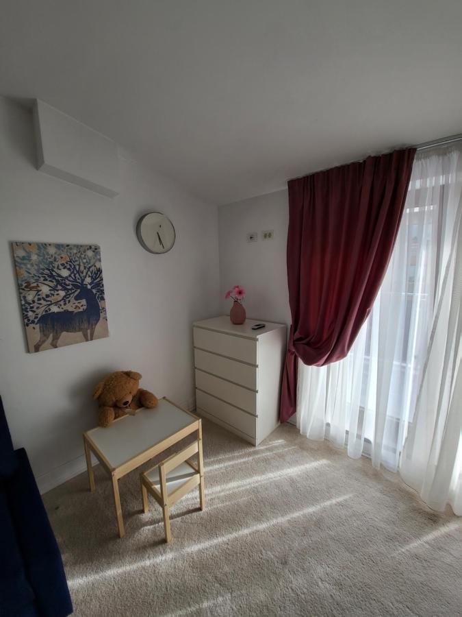 Large Luxury Apartment - Penthouse - Terrace Бухарест Экстерьер фото