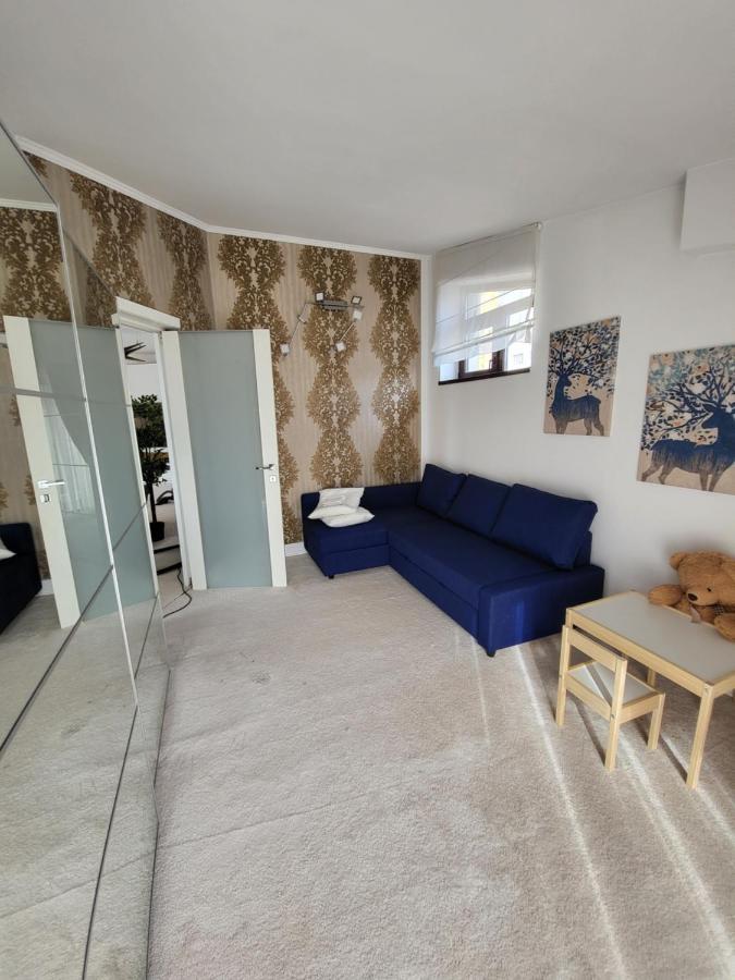 Large Luxury Apartment - Penthouse - Terrace Бухарест Экстерьер фото