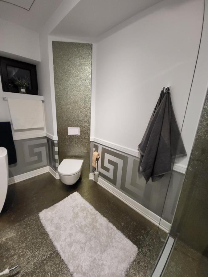 Large Luxury Apartment - Penthouse - Terrace Бухарест Экстерьер фото